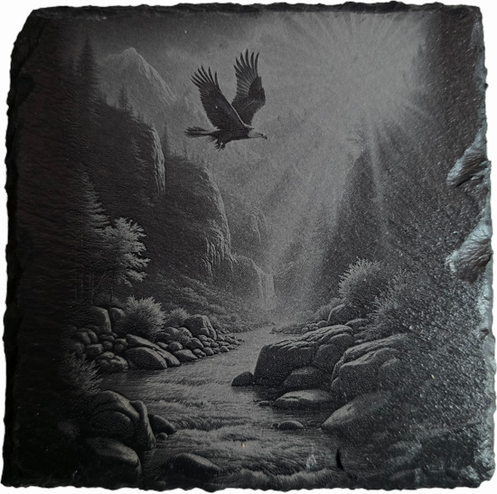 Eagle Soaring Coaster